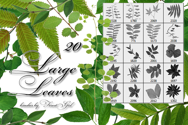 Large Leaves brushes