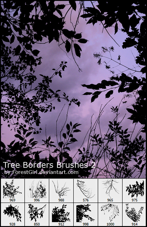 Tree Borders Brushes 2