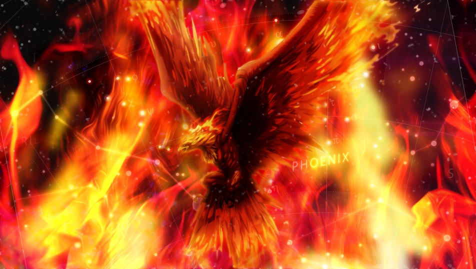 Феникс обои. Огненный Сокол Рарог. Рарог дух огня. Птица Феникс Возрождение из пепла.