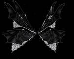 Gothic Fae Wings by dyingbeauty-stock
