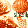 Shells brushes
