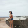 wonder woman vs a tank