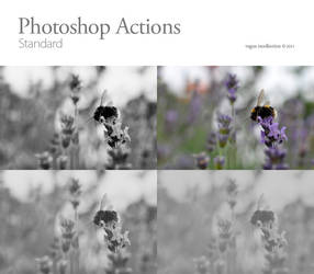 Photoshop Actions 01