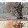 Photoshop Actions 05