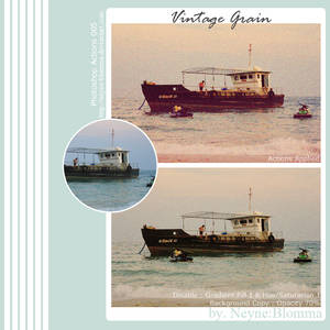 PS Action -005 Vintage Grain-