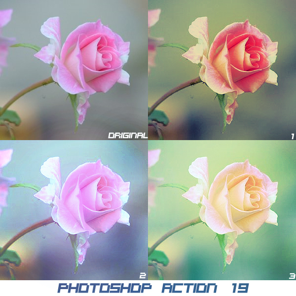 Photoshop Action 019