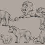 species for sell
