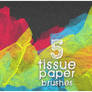Tissue Paper Brushes