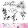 Floral brushes - 2312
