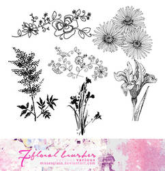 Floral brushes - 2312