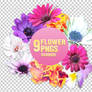 Flower PNGs - 3004