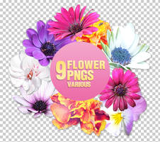 Flower PNGs - 3004