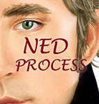 Ned - Process by Lawleighette