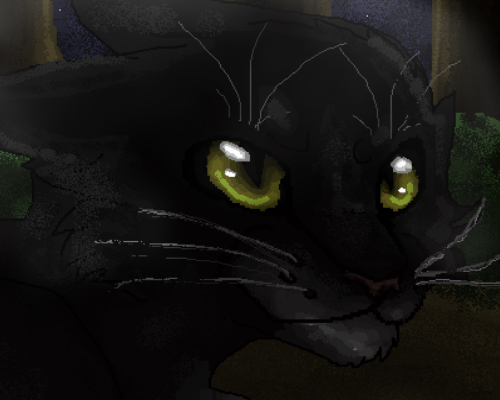 Shadow by RoseTheCuteRabbit on DeviantArt
