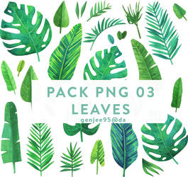 Pack Png 03 Leaves