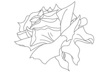 Digital Rose- Uncoloured