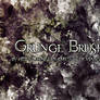 Grunge Brushes 2.