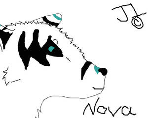 Nova - Character Contest Drawing