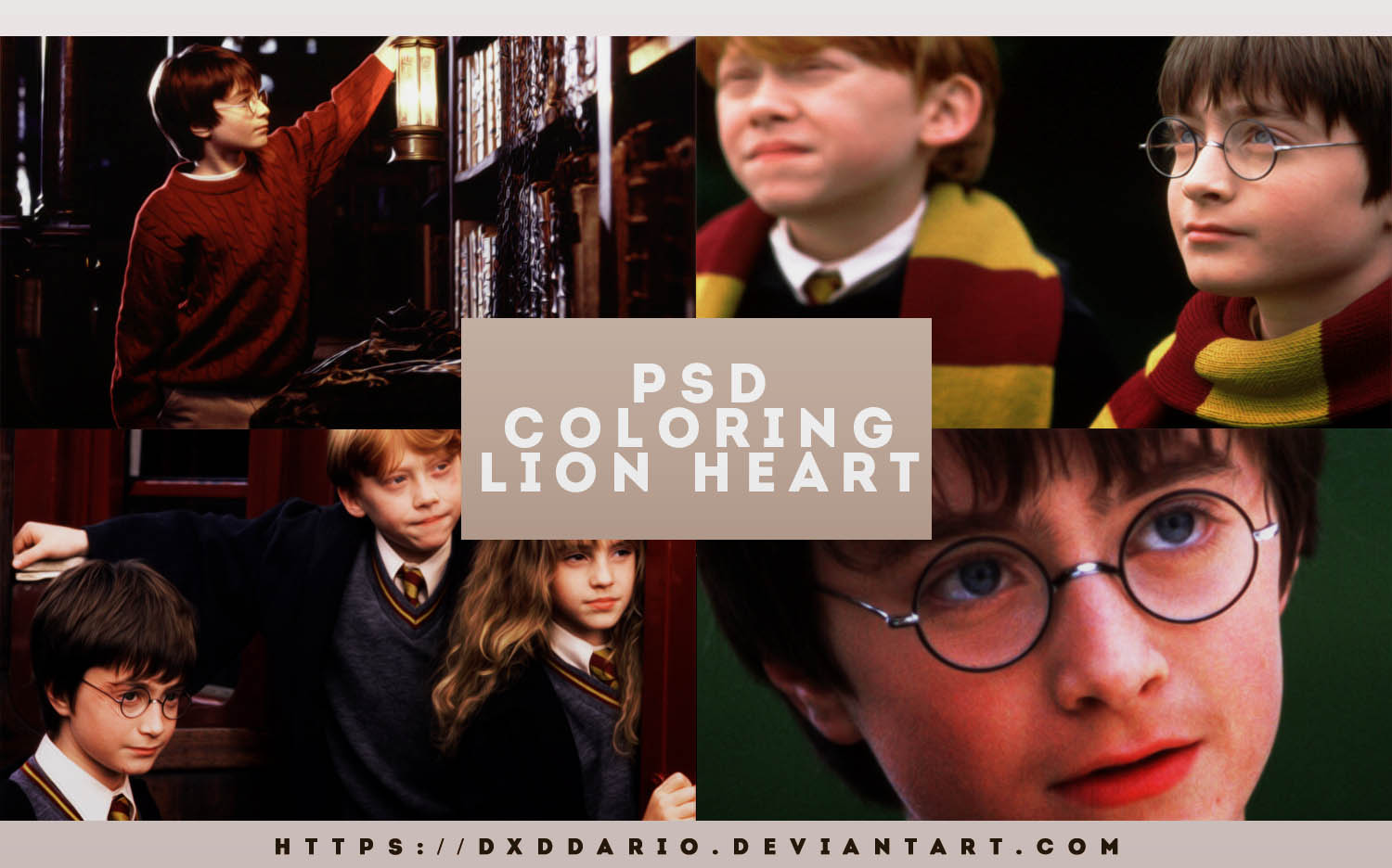 PSD 08 - LION HEART by dxddario on DeviantArt