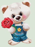 Polar Bear - Rose
