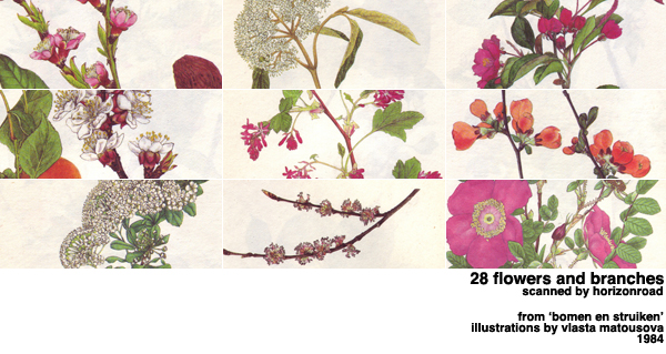 scans_flowers_branches by horizonroad on DeviantArt