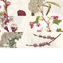 scans_flowers_branches