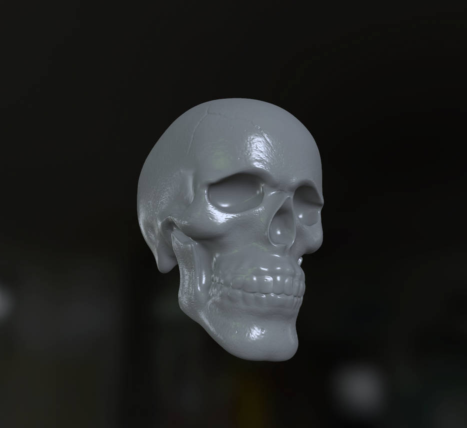 Skull Render by SDevilHeart on DeviantArt