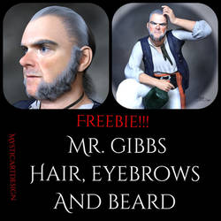 Mr Gibbs Hair, Eyebrows and Beard