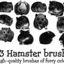 Hamster Brushes