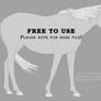 Pregnant Brumby Mare Base F2U