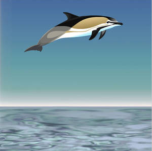 Jumping dolphin