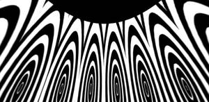 hypnotic zebra -intrctv