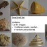 Shell Set