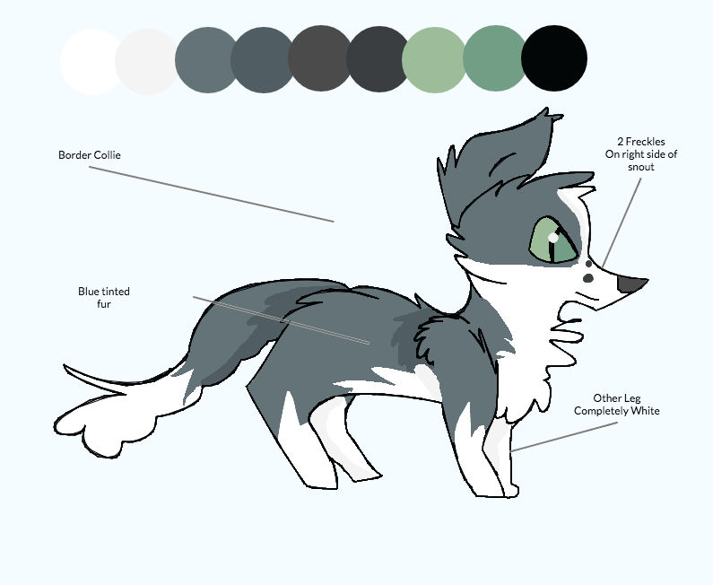 Ari Ref by KiwiTheKitteh on DeviantArt