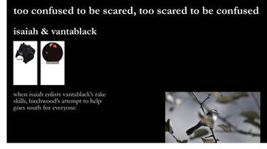 too confused to be scared...