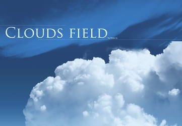 Brushes - Clouds - field