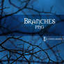 Branches STOCK
