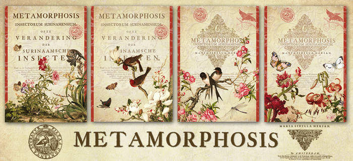 Metamorphosis ATCs