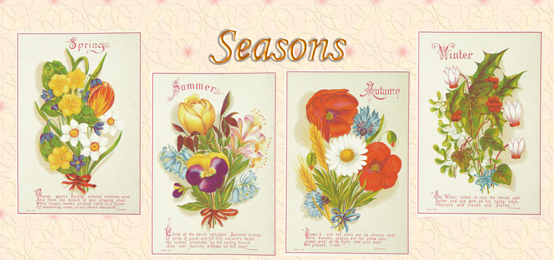 Flower seasons by auRoraBor on DeviantArt