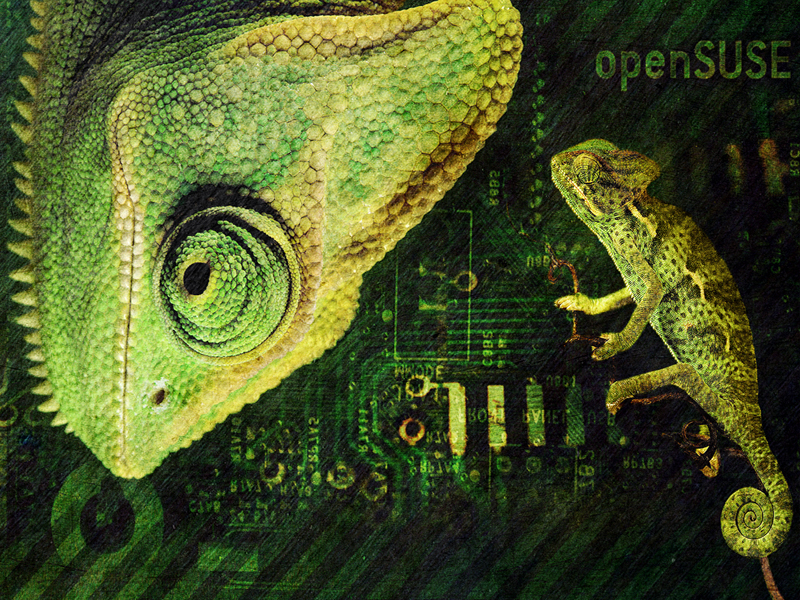 Geeko OpenSUSE Wallpaper