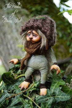 Art Doll. Furry Pixie. Leopold.