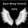Basic Wing Tutorial