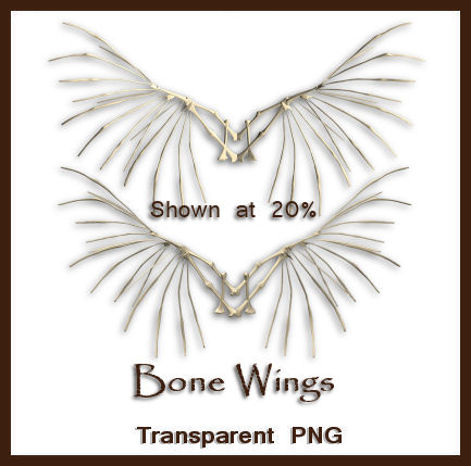 Bone Wings