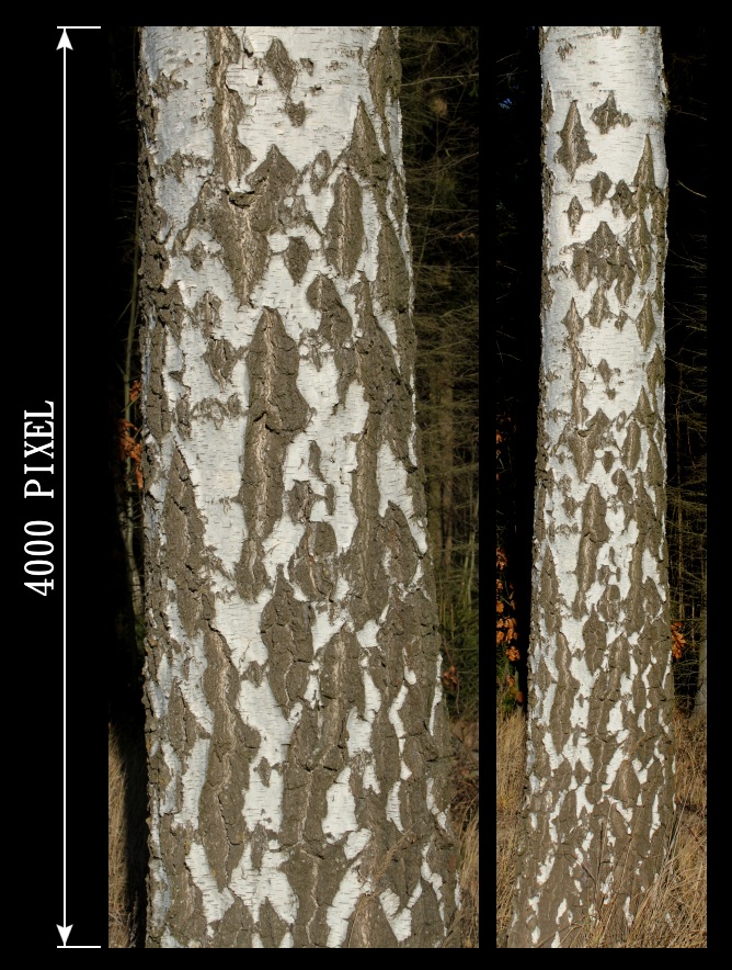 2 Textures - Set 2 by AGF81 on DeviantArt