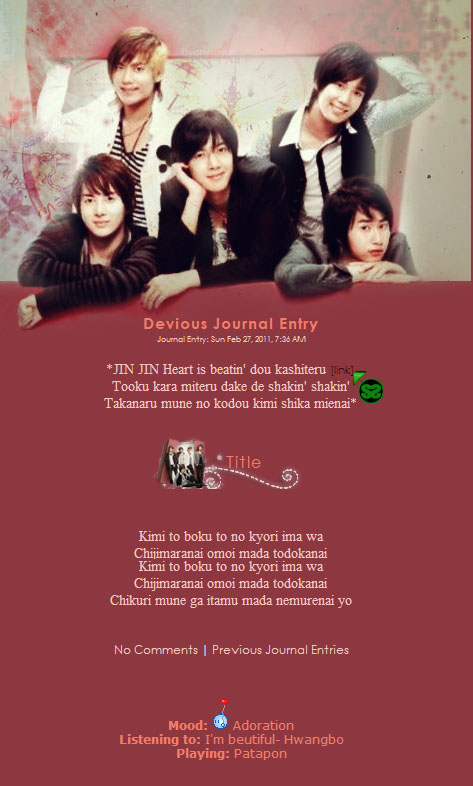 SS501 Journal Skin 3