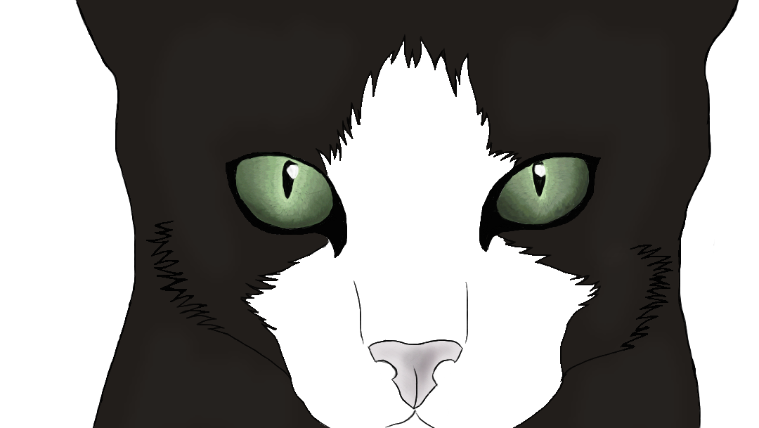 Tuxedo Cat by Doetuft on DeviantArt
