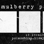 mulberry_paper