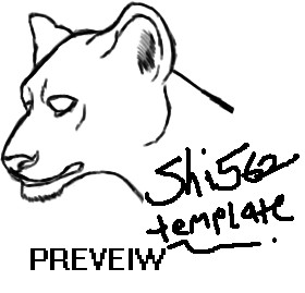 Big cat template by shi562 on DeviantArt
