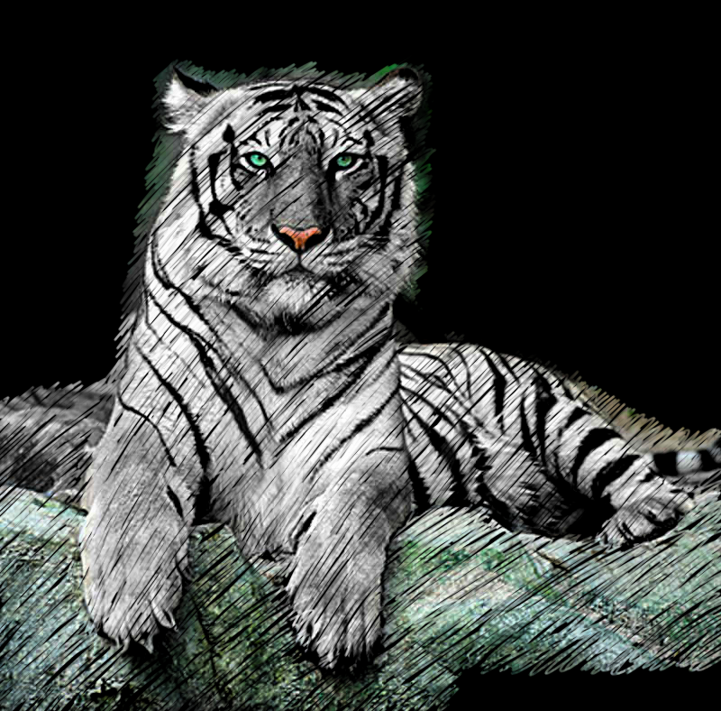 Tiger Scratch Art by Pandar-chan on DeviantArt Tiger Scratch Art by Pandar-chan on DeviantArt
