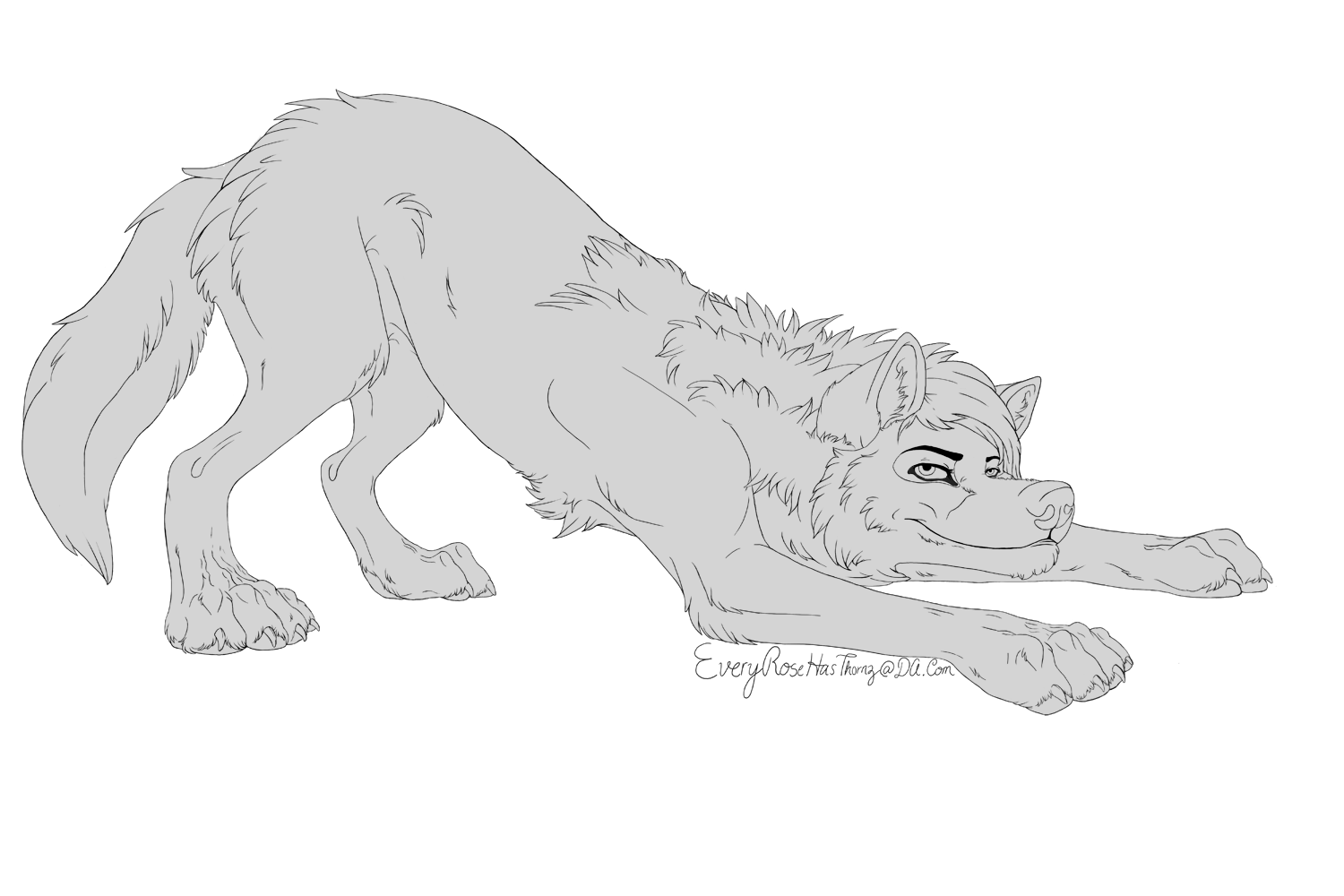 Female Playful Wolf Line Art